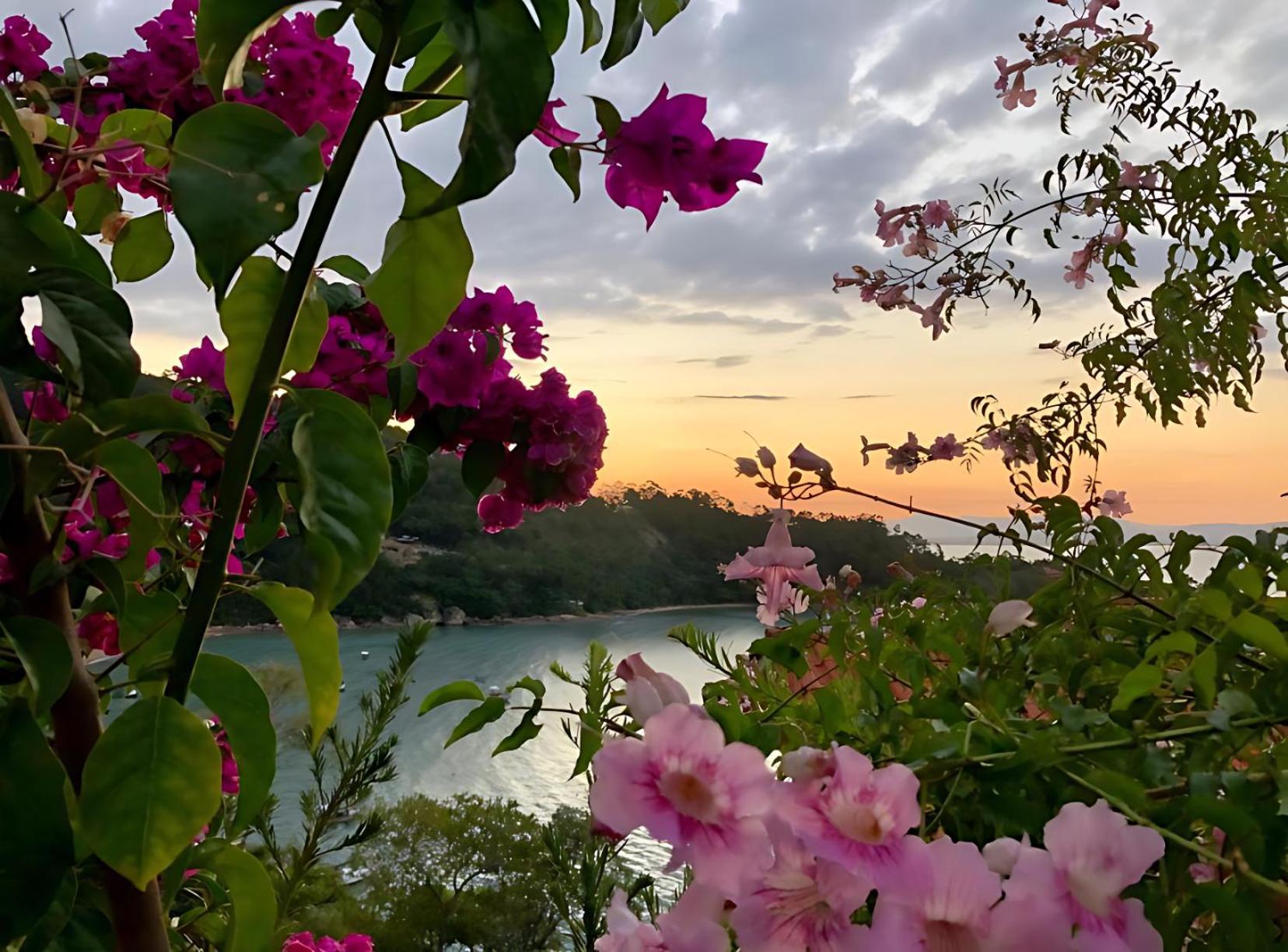 Mar De Bougainville 塞尔苏拉穆斯州长镇 外观 照片